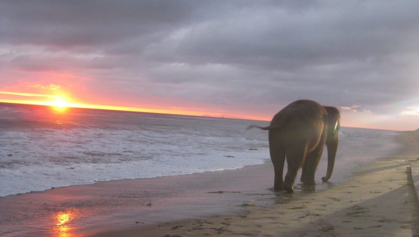 a couple of people that are walking on the beach